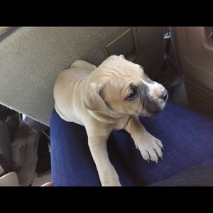 Meet your Posher, Valorie